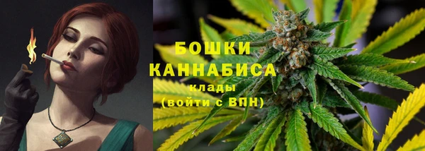 дживик Переславль-Залесский
