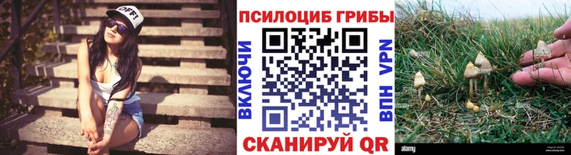 Псилоцибиновые грибы Psilocybine cubensis  Сенгилей 